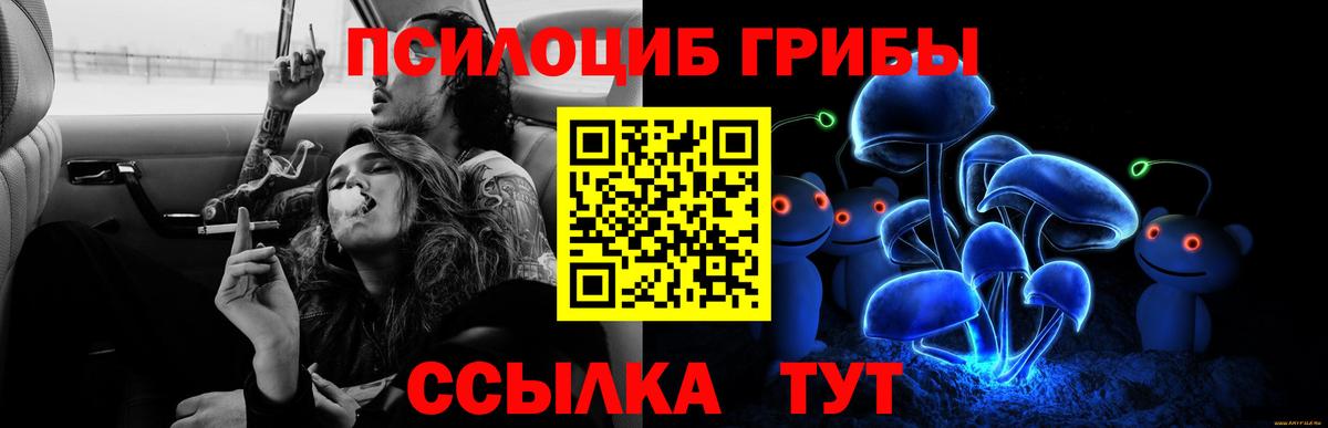 Галлюциногенные грибы прущие грибы  Вход с VPN  Кыштым 